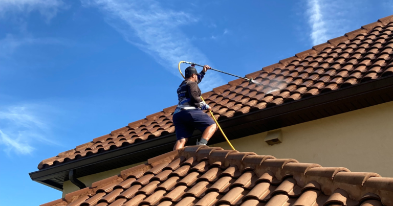 Roof Cleaning Warranty