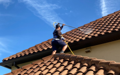 What Is Your Roof Cleaning Warranty?