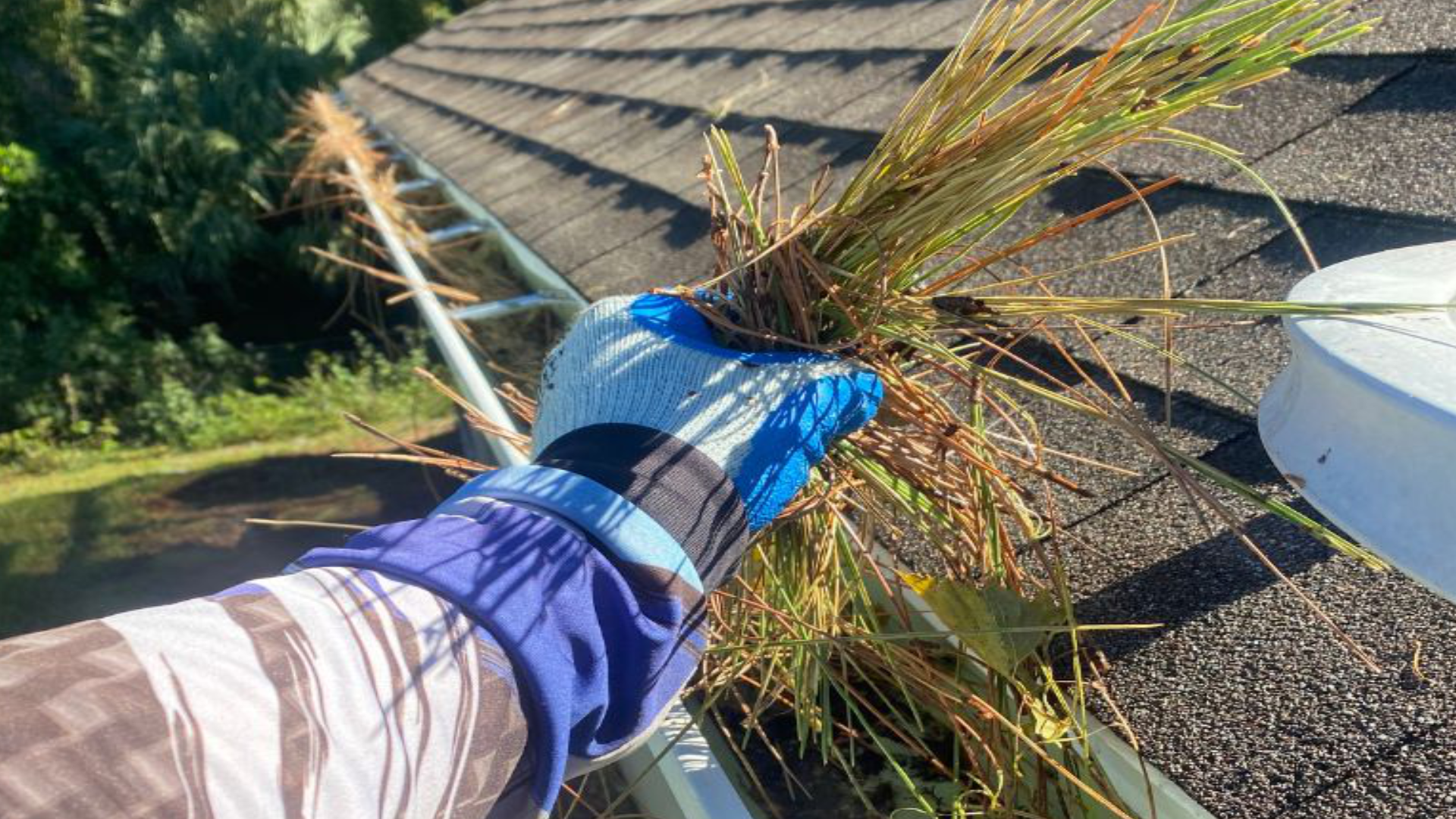 GUTTER FULL OF DEBRIS