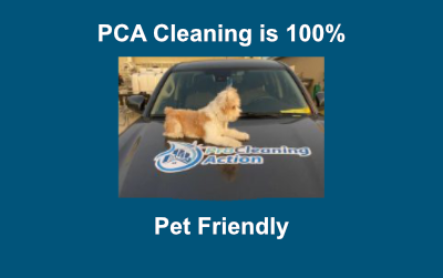 100% Pet Friendly Pressure Washing Company in Polk County Central Florida