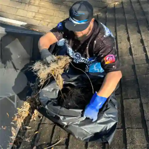 Bagging gutter debris