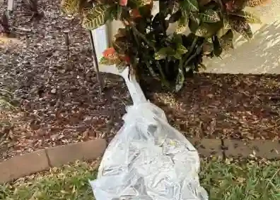 Bag catching debris for gutter output Bag catching debris for gutter output