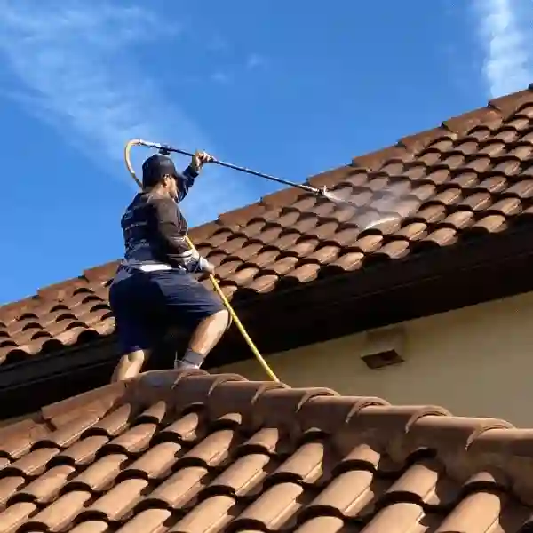 Roof-Cleaning-600x600-Square Manso cleaning tile roof