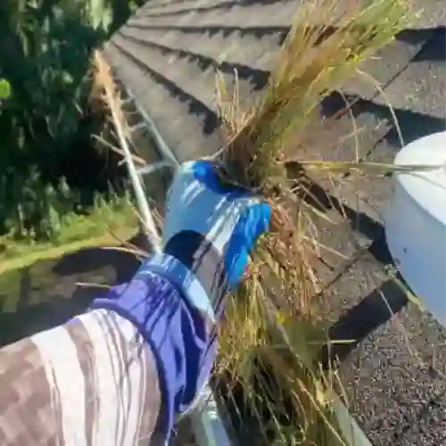Vegitation-In-Dirty-Gutter-500x500 Removing gutter growth