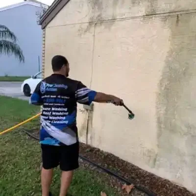 What is soft washing?