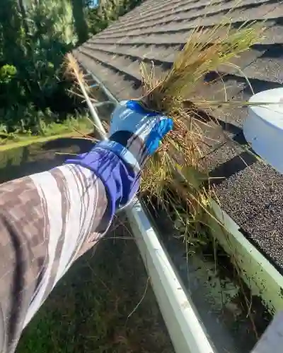 green gutter with vegitation 400x500 1
