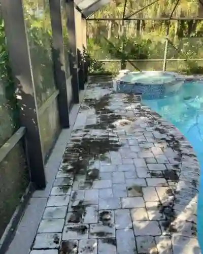 pool area before cleaning