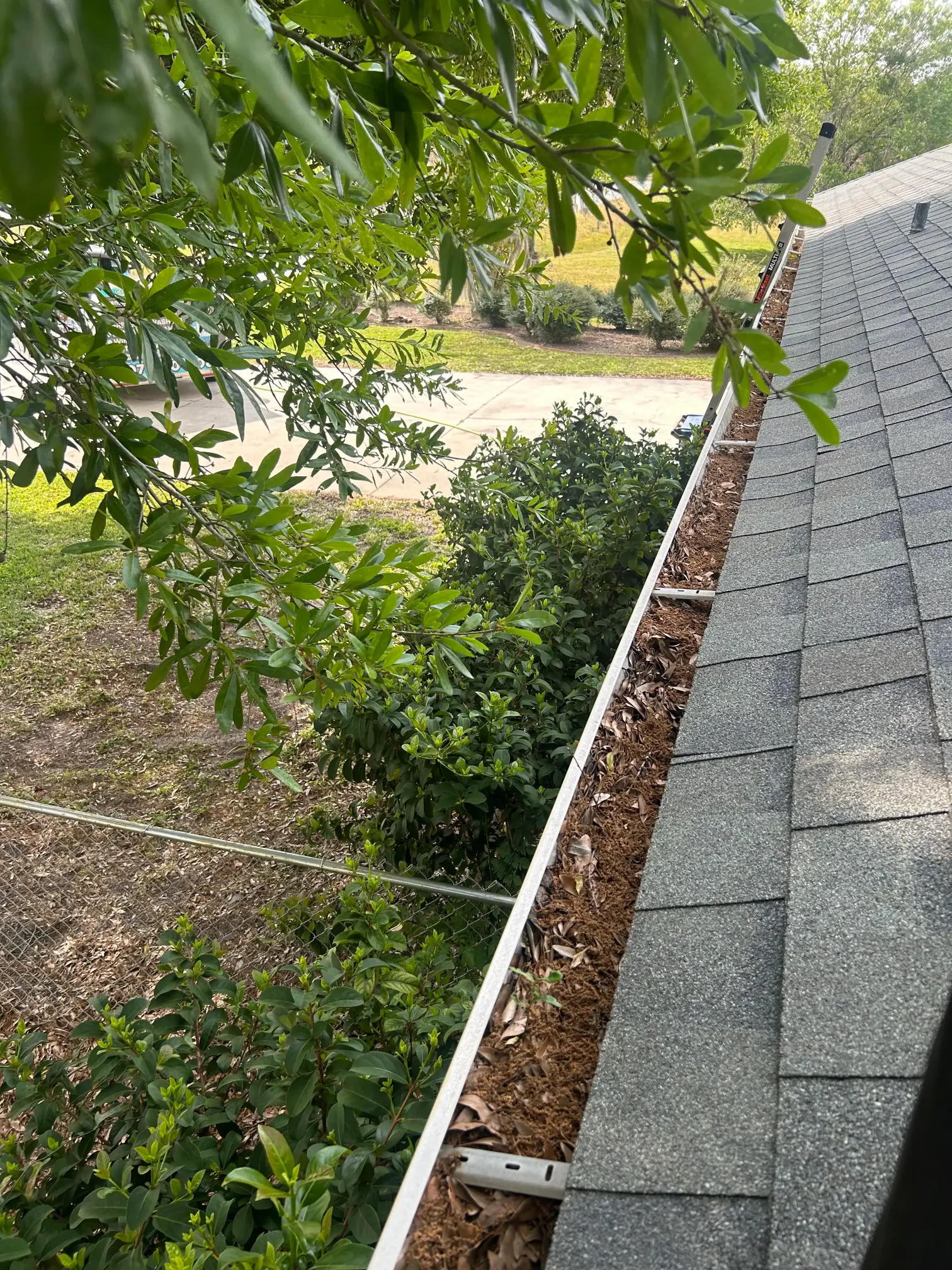 Residential Gutter Cleaning Davenport FL | Pro Cleaning Action 14 Before Gutter Cleaning Kissimmee FL 1