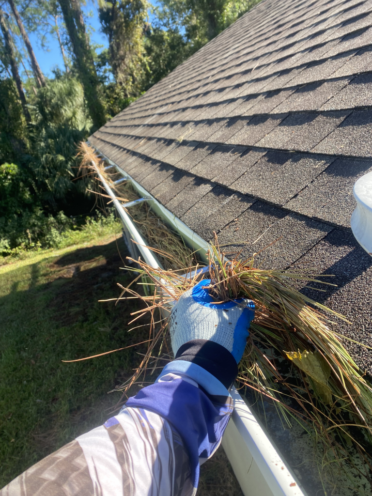 Before Gutter debris removal