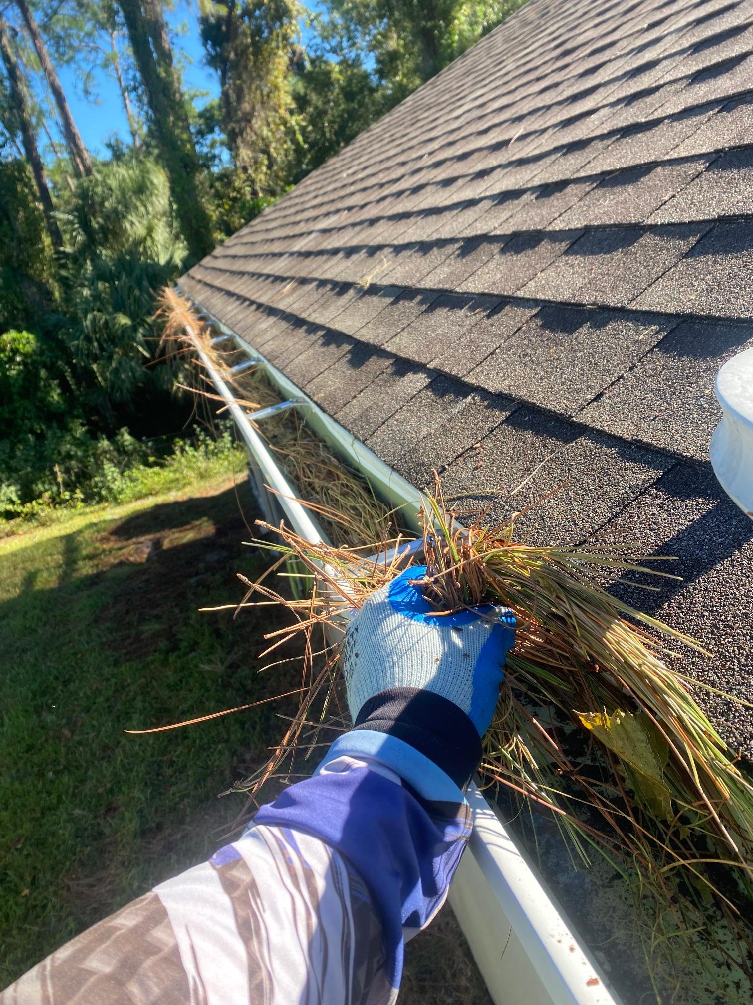 gutter debris removal Services