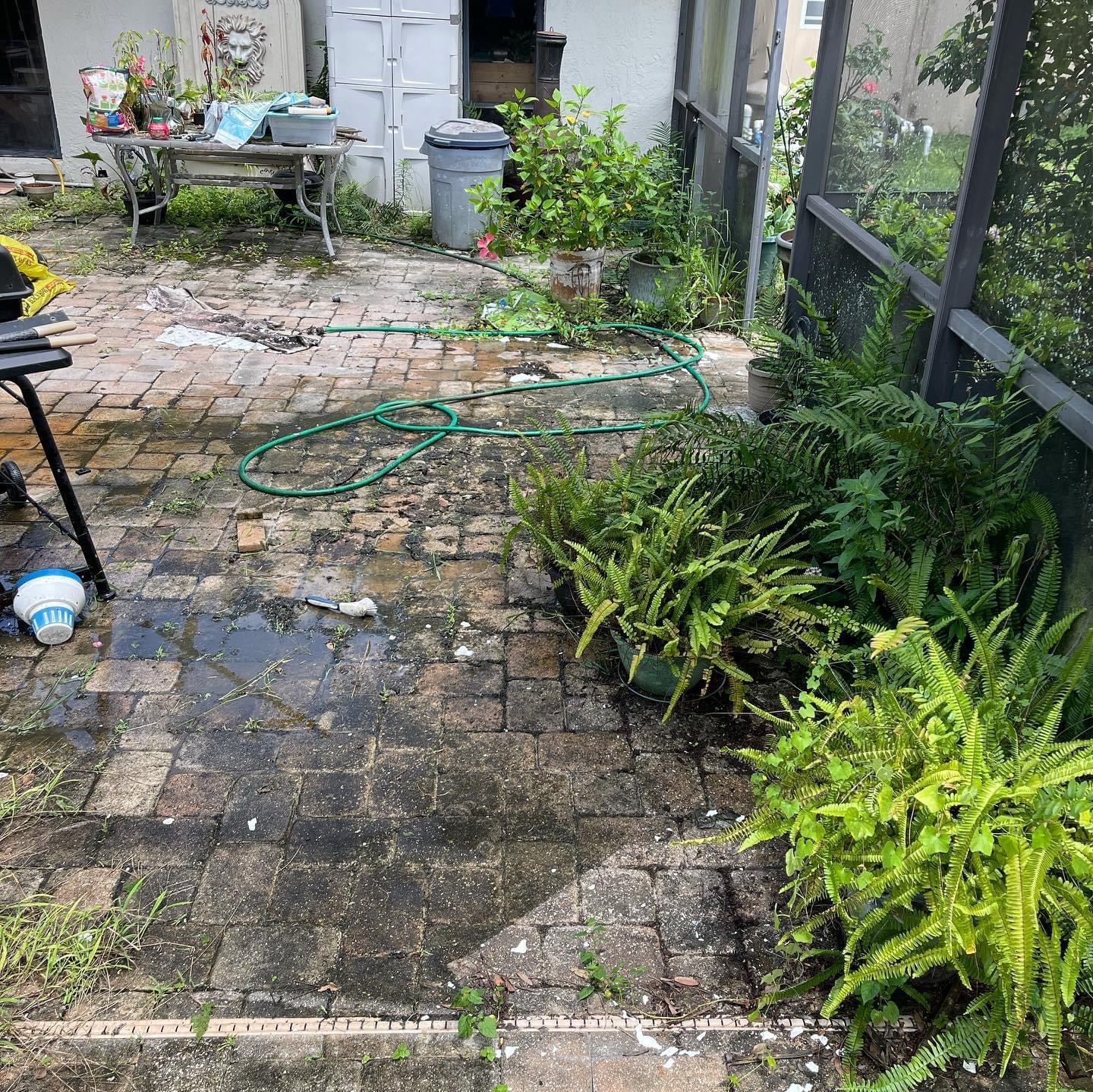 Before Paver Patio Cleaning 1