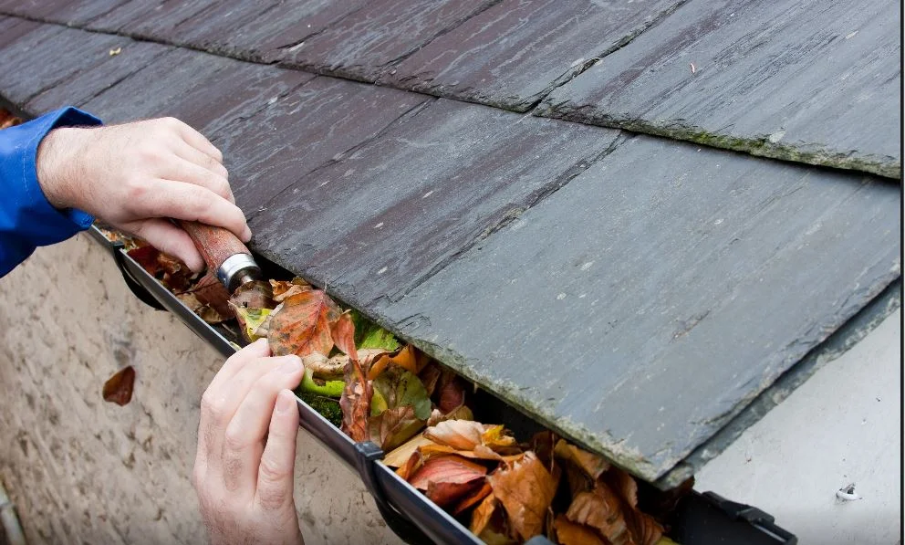 Residential Gutter Cleaning Davenport FL | Pro Cleaning Action 8 Gutter cleaning