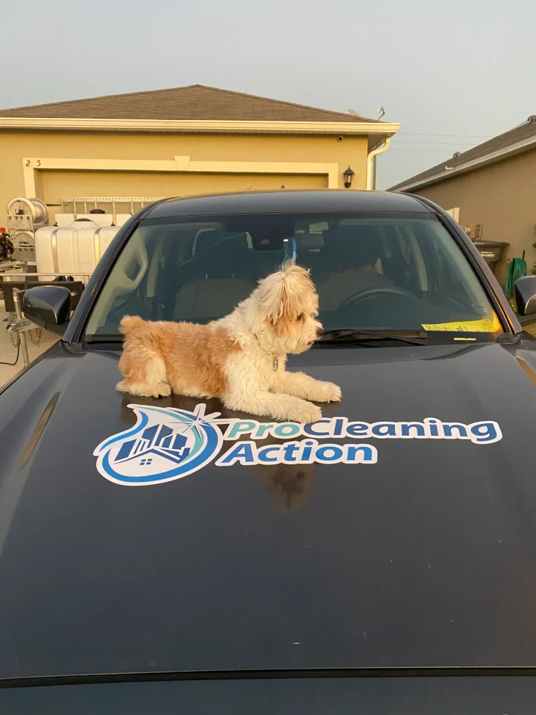 Pro Cleaning Action Pet Friendly