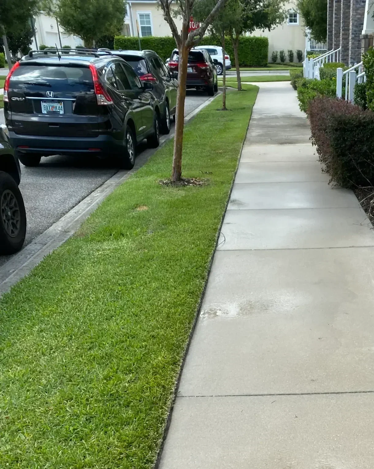 Sidewalk Cleaning Kissimmee FL 1 scaled e1773178833682