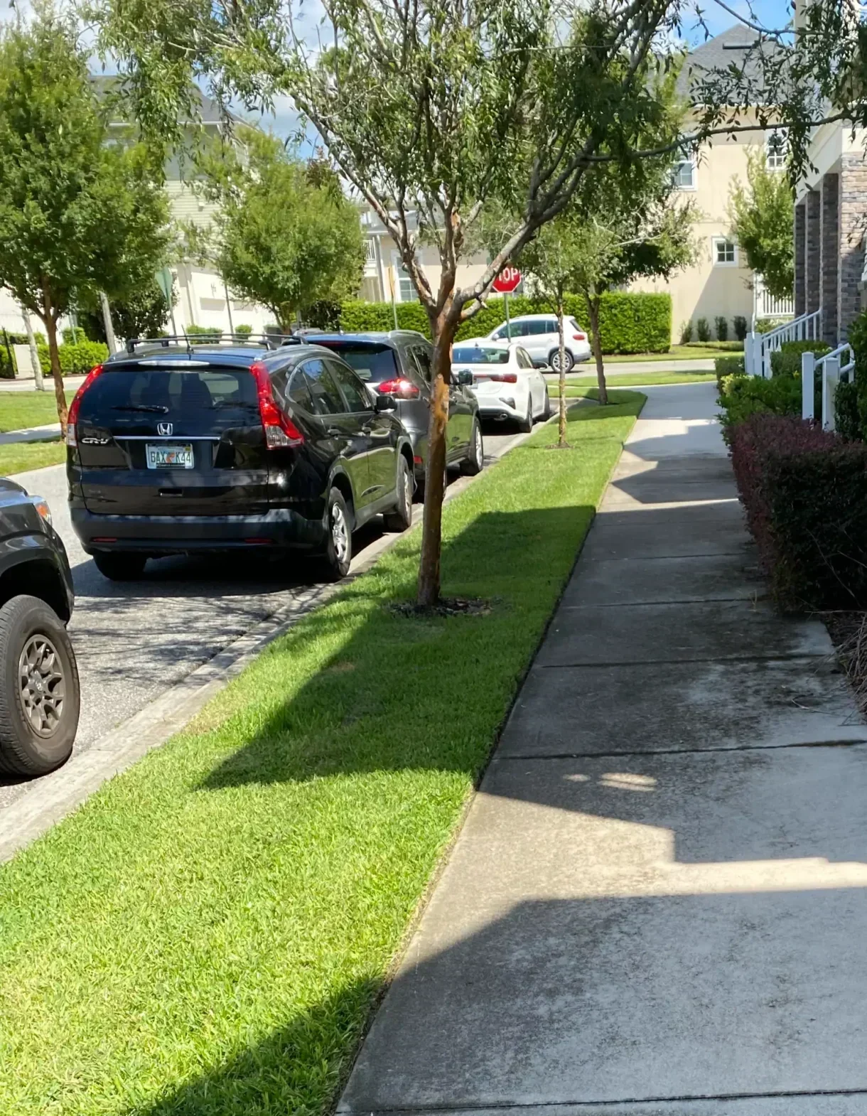Sidewalk Cleaning Kissimmee FL 2 scaled e1773178780694