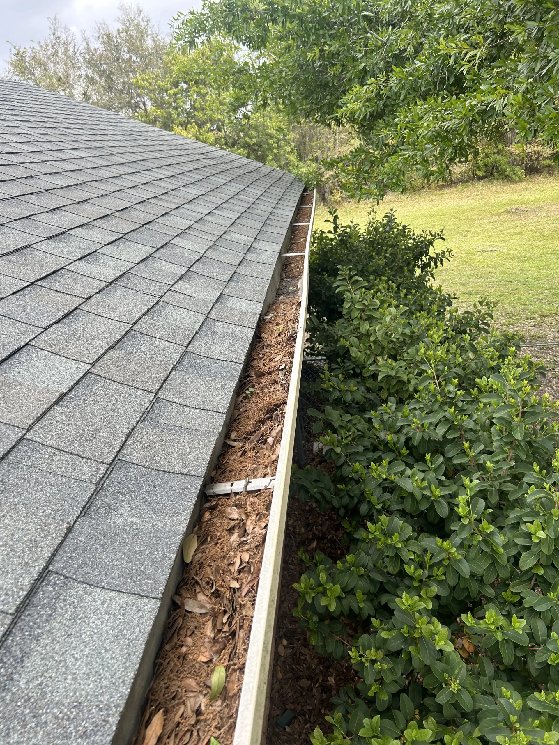 Before Gutter Cleaning 1 scaled