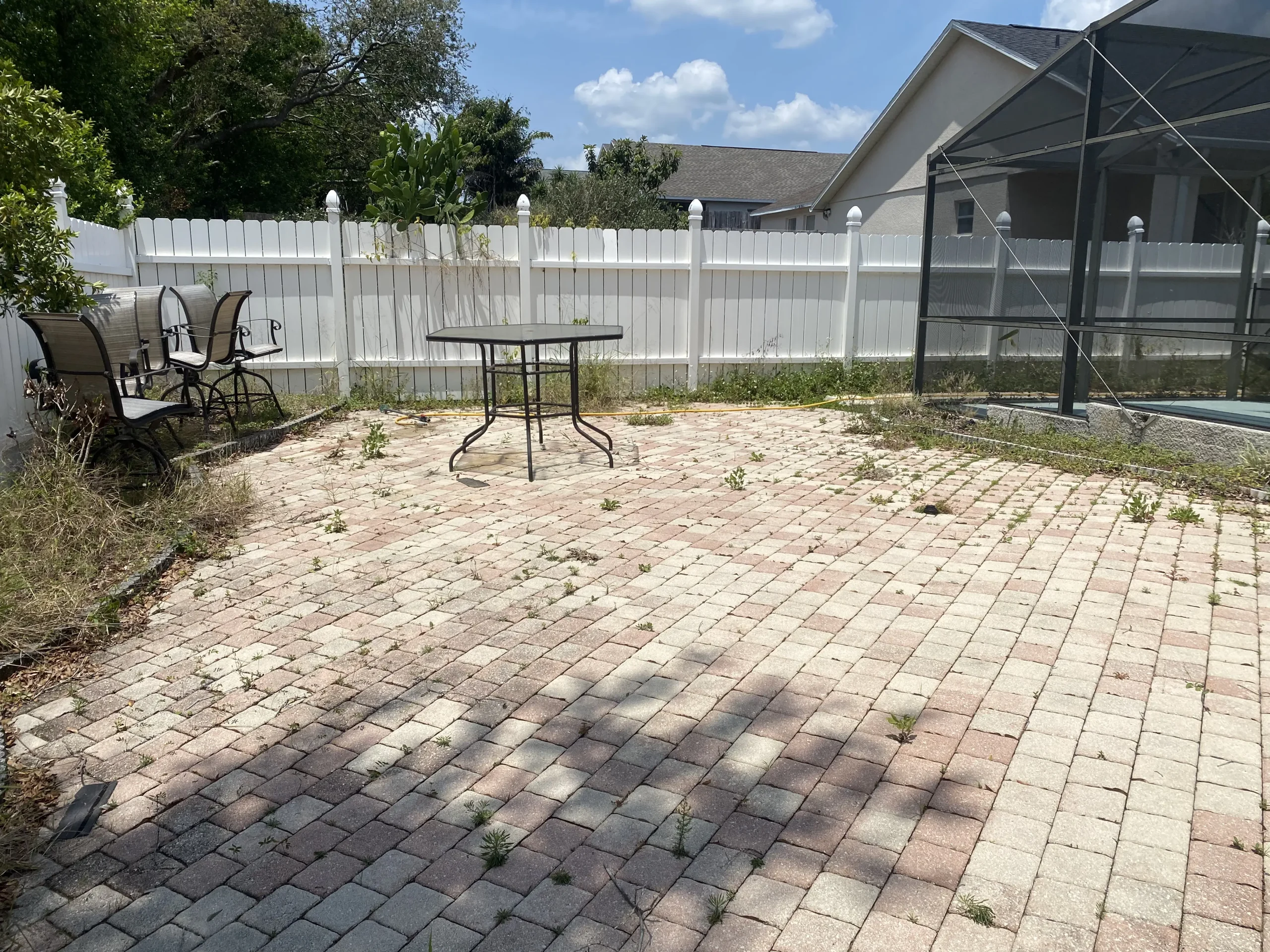 Before Paver Cleaning scaled