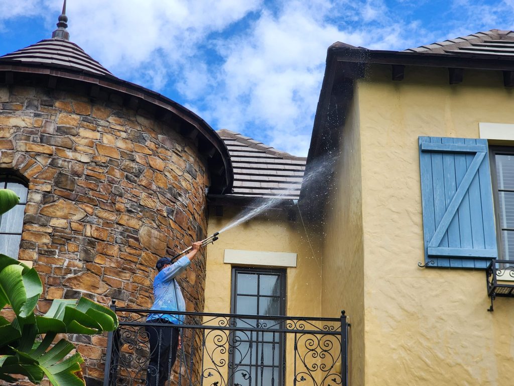 House Washing Pro Cleaning Action