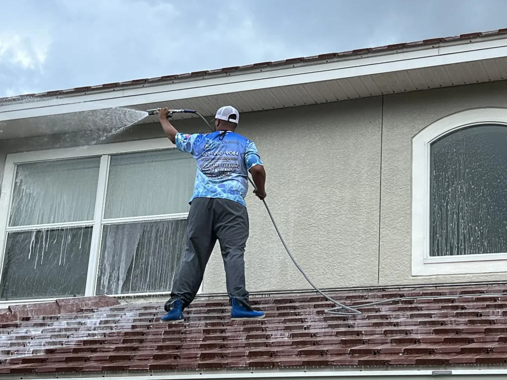 Pro Cleaning Action House Washing