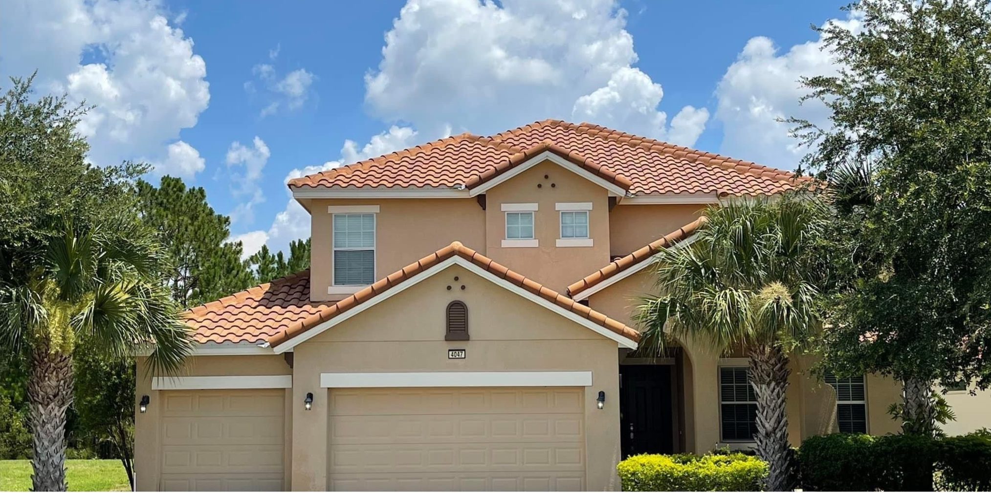 TILE ROOF CLEANING 1 1 e1775252890323