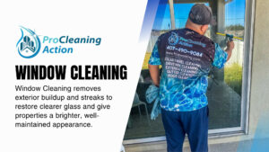 Window & Solar Panel Cleaning Services Kissimmee, FL