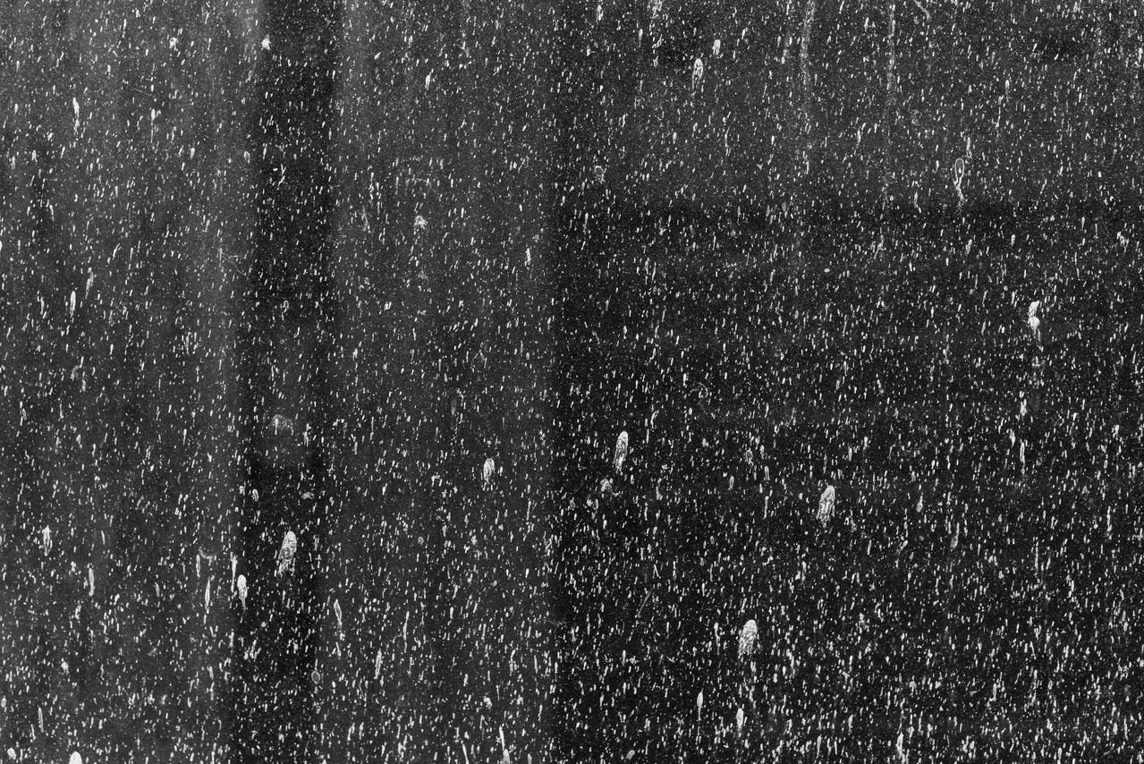 Sprinkler Stains on Windows